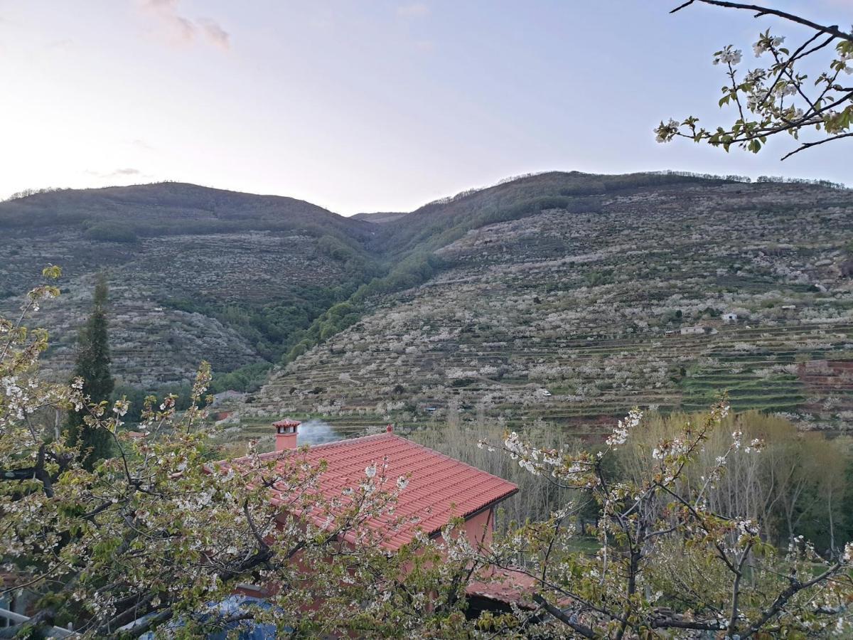 Casas Rurales El Cerro Y El Cerezo Navaconcejo Exterior photo