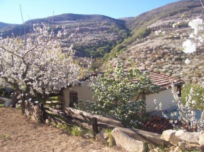 Casas Rurales El Cerro Y El Cerezo Navaconcejo Exterior photo